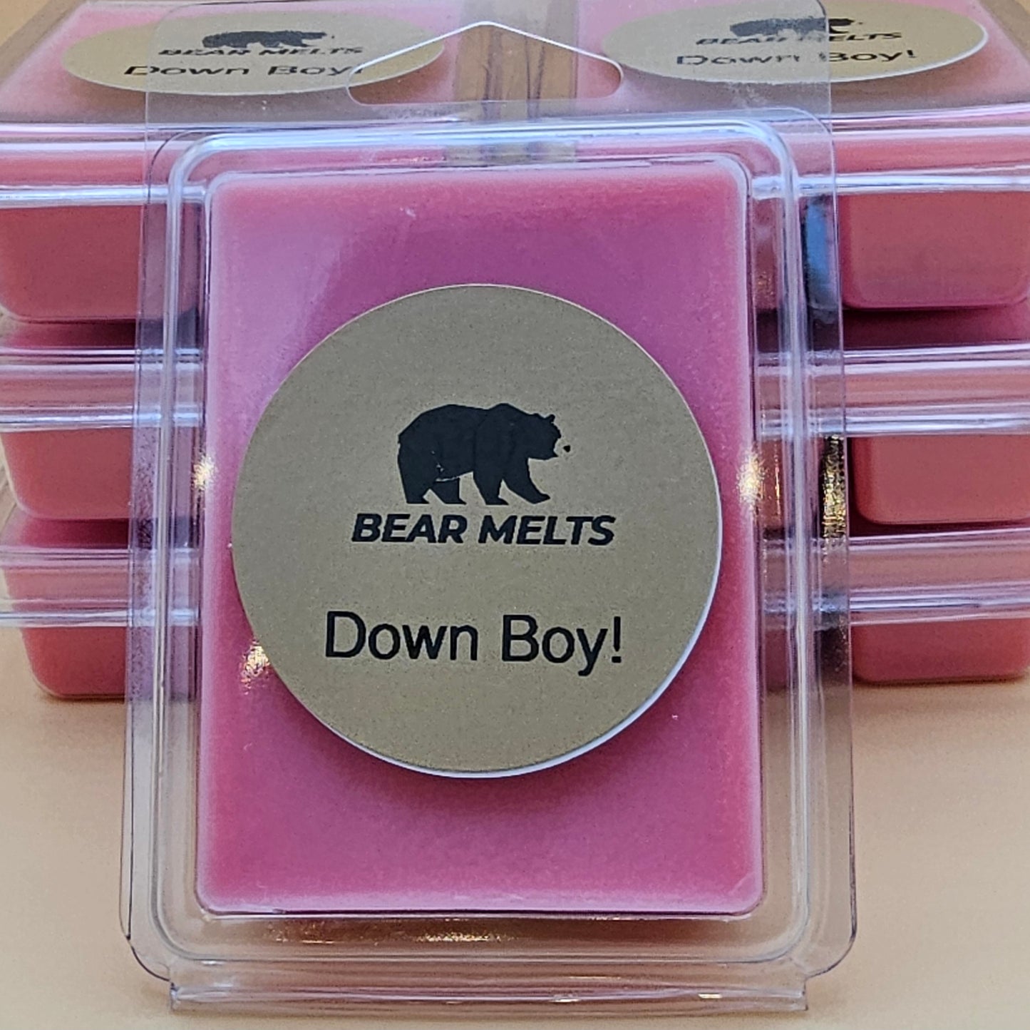Down Boy!