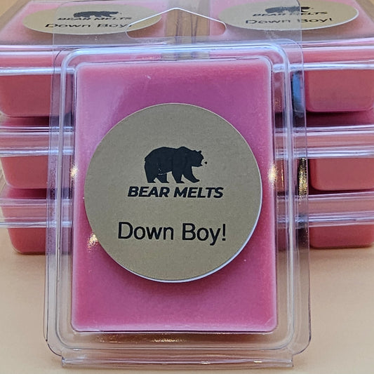 Down Boy!